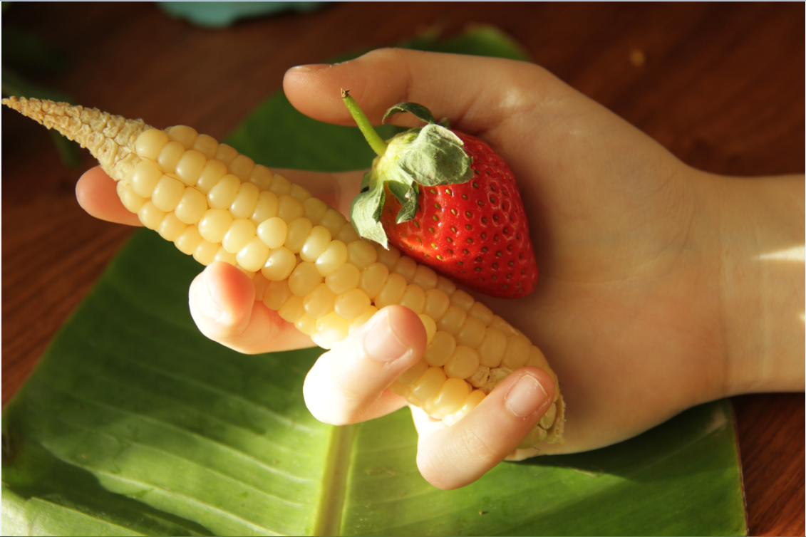 展商推介 | 来自大自然的馈赠—白糯拇指玉米
